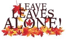 leave leaves alone
